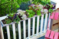 /album/jardineria/image-4-jpg1/