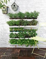 /album/jardineria/image-3-jpg1/