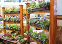 /album/jardineria/image-2-jpg/